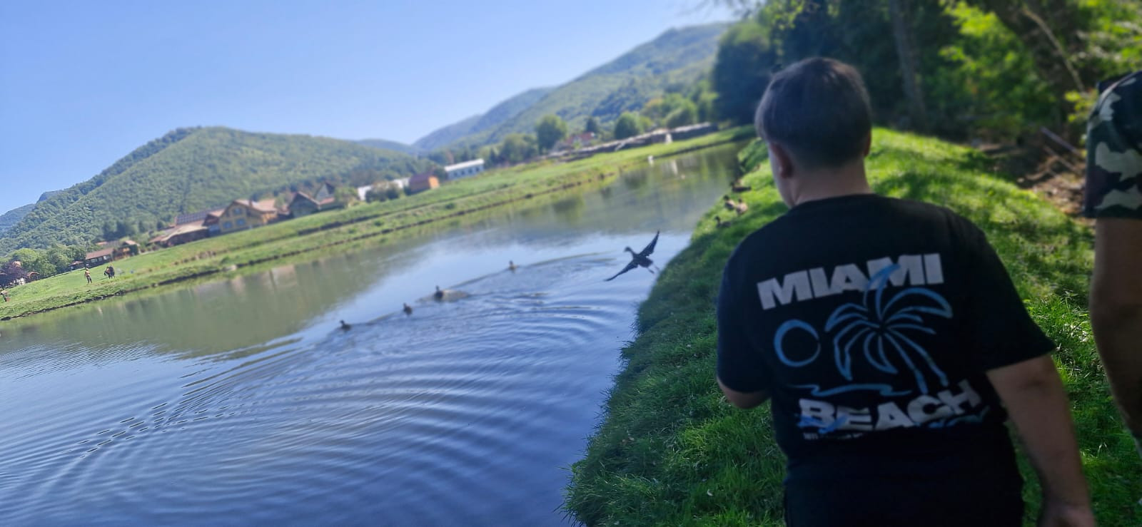 SIGHISOARA se DEZVOLTA VERDE continua in 2025